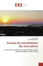 Travaux de consolidation des terre-pleins