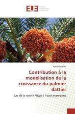 Contribution à la modélisation de la croissance du palmier dattier
