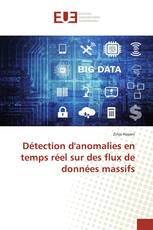 Détection d'anomalies en temps réel sur des flux de données massifs