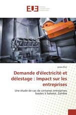 Demande d'électricité et délestage : Impact sur les entreprises