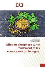 Effet du phosphore sur le rendement et les composants du fenugrec