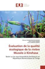 Évaluation de la qualité écologique de la rivière Musolo à Kinshasa