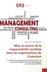 Mise en œuvre de la responsabilité sociétale dans les organisations du Cameroun