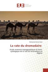 La rate du dromadaire