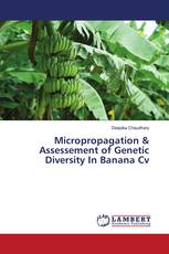 Micropropagation & Assessement of Genetic Diversity In Banana Cv