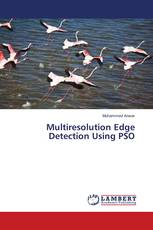 Multiresolution Edge Detection Using PSO