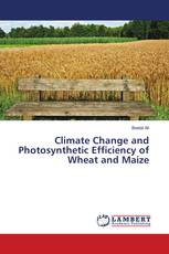 Climate Change and Photosynthetic Efficiency of Wheat and Maize