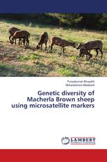 Genetic diversity of Macherla Brown sheep using microsatellite markers