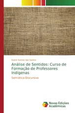 Análise de Sentidos: Curso de Formação de Professores Indígenas