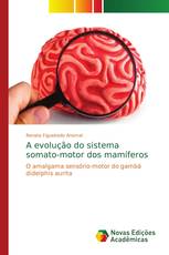 A evolução do sistema somato-motor dos mamíferos