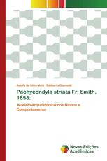 Pachycondyla striata Fr. Smith, 1858: