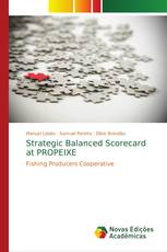 Strategic Balanced Scorecard at PROPEIXE