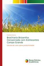 Brachiaria Brizantha Consorciada com Estilosantes Campo Grande