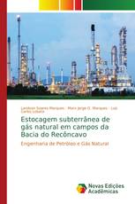 Estocagem subterrânea de gás natural em campos da Bacia do Recôncavo