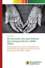 Os Escravos nos patrimônios dos Campos Gerais (1846-1864)