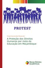 A Proteção dos Direitos Humanos por meio da Educação em Moçambique