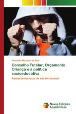 Conselho Tutelar, Orçamento Criança e a politica socioeducativa