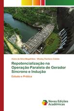 Repotencialização na Operação Paralela de Gerador Síncrono e Indução