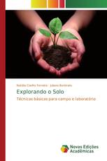 Explorando o Solo