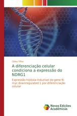 A diferenciação celular condiciona a expressão do NDRG1
