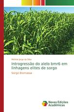 Introgressão do alelo bmr6 em linhagens elites de sorgo