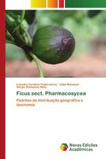 Ficus sect. Pharmacosycea