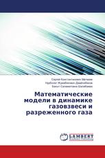 Математические модели в динамике газовзвеси и разреженного газа