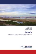 Suaeda