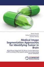Medical Image Segmentation Approaches for Identifying Tumor in Brain