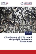 Kümeleme Analizi İle İnsani Gelişmişlik Endeksinin İncelenmesi