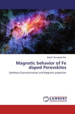 Magnetic behavior of Fe doped Perovskites