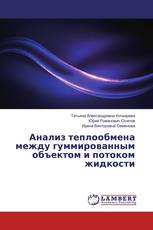 Анализ теплообмена между гуммированным объектом и потоком жидкости