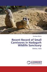 Recent Record of Small Carnivores in Hadagarh Wildlife Sanctuary
