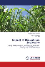 Impact of Drought on Sugarcane