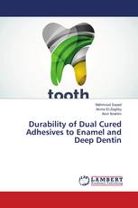 Durability of Dual Cured Adhesives to Enamel and Deep Dentin