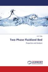Two Phase Fluidized Bed