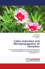 Callus Induction and Micropropagation of Carnation