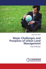 Major Challenges and Prospects of Urban Land Management