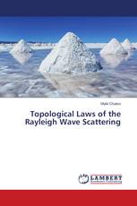 Topological Laws of the Rayleigh Wave Scattering