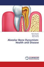 Alveolar Bone Dynamism: Health and Disease