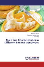 Male Bud Characteristics in Different Banana Genotypes