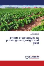 Effects of potassium on potato growth,weight and yield