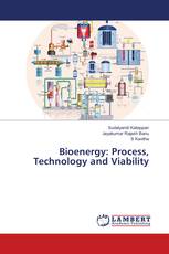 Bioenergy: Process, Technology and Viability