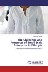 The Challenge and Prospects of Small Scale Enterprise in Ethiopia