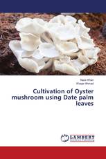 Cultivation of Oyster mushroom using Date palm leaves