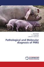 Pathological and Molecular diagnosis of PRRS