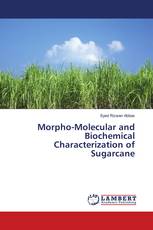 Morpho-Molecular and Biochemical Characterization of Sugarcane