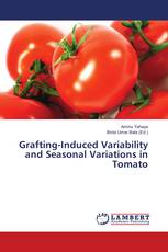 Grafting-Induced Variability and Seasonal Variations in Tomato