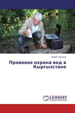 Правовая охрана вод в Кыргызстане