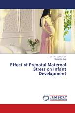 Effect of Prenatal Maternal Stress on Infant Development